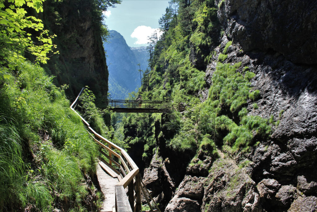 dachsteinresort lammerklamm schlucht